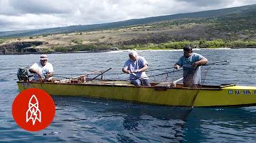 Fishing and Eating Like Ancient Hawaiians