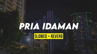 PRIA IDAMAN (slowed + reverb)
