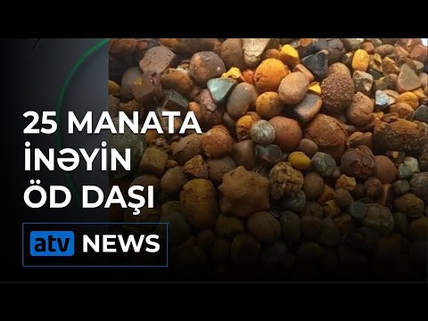 İnəyin öd daşının insan sağlamlığı üçün faydası var?