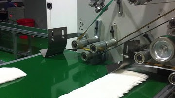 Straight Sanitary Napkins Counting Machine,Skype: linda86zhong