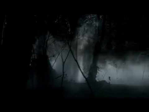 Stefan For over a century, I have lived in secret; hiding in the shadows, alone in the world