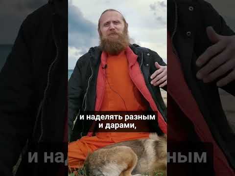 Зачем бог создал мир, полный страданий?