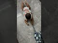Anganamam #music #baby #cute #cutebaby #babygirl #babyshorts #views #love #like #malayalam #song