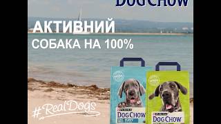 Purina Dog Chow® Ukraine  — Друзяка