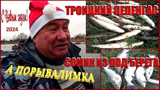 С Новым годом!!! Троицкий пеленгас и сомик из под берега.  А порыбалимка 1-й выпуск 24г.