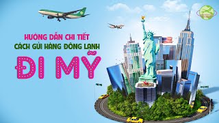 Hướng Dẫn Chi Tiết Cách Gửi Hàng Đông Lạnh Từ Việt Nam Đi Mỹ