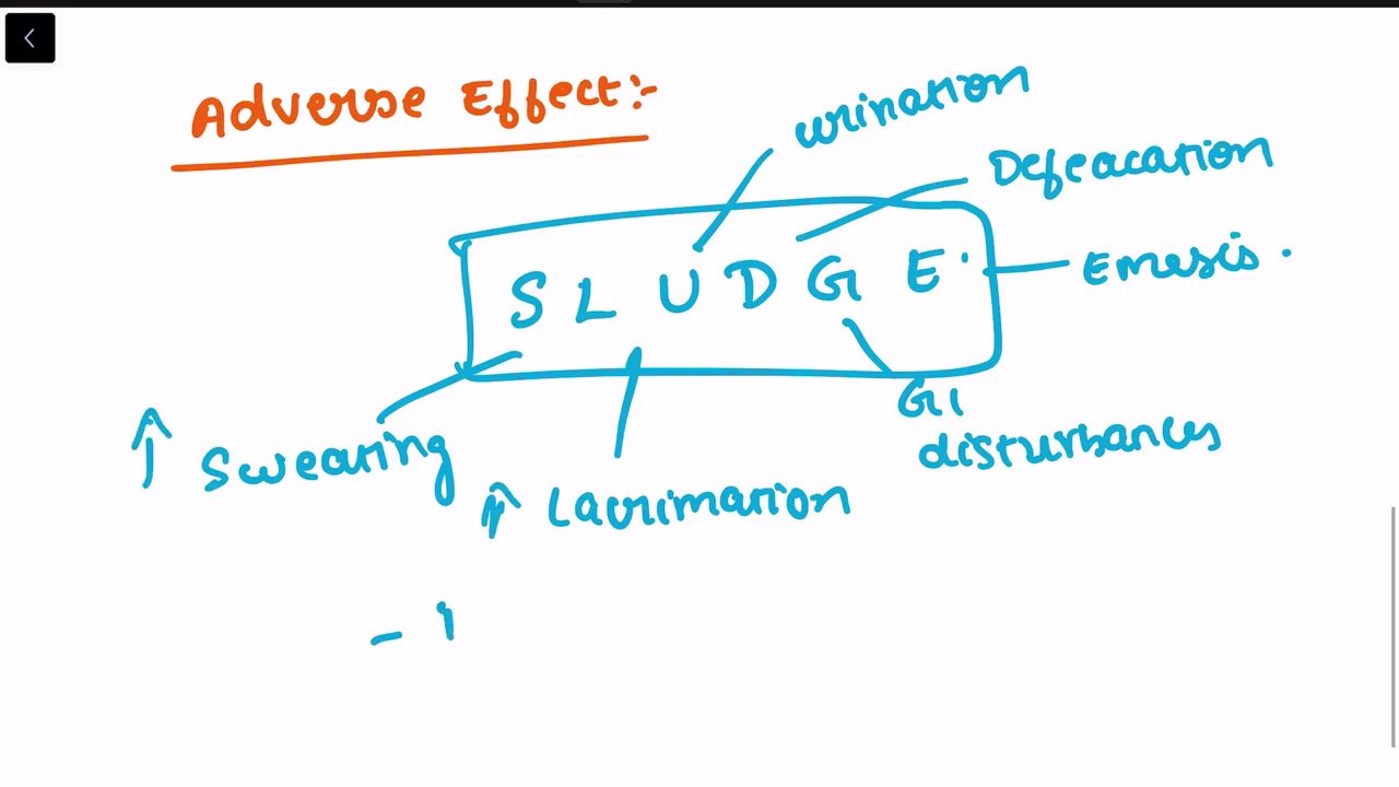 PILOCARPINE - USES, ADVERSE EFFECTS, ANTIDOTE || SLUDGE EFFECT|| PHARMACOLOGY||MADEEASY