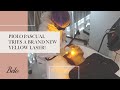 Piolo Pascual Tries a Brand New YELLOW Laser! - ADVALight | Belo Medical Group