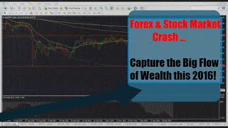Forex Stock Market Crash 2016