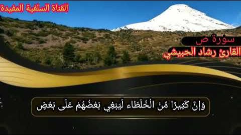 حالات واتس تلاوة رائعة جداً للشيخ الفاضل رشاد الحبيشي حفظه الله