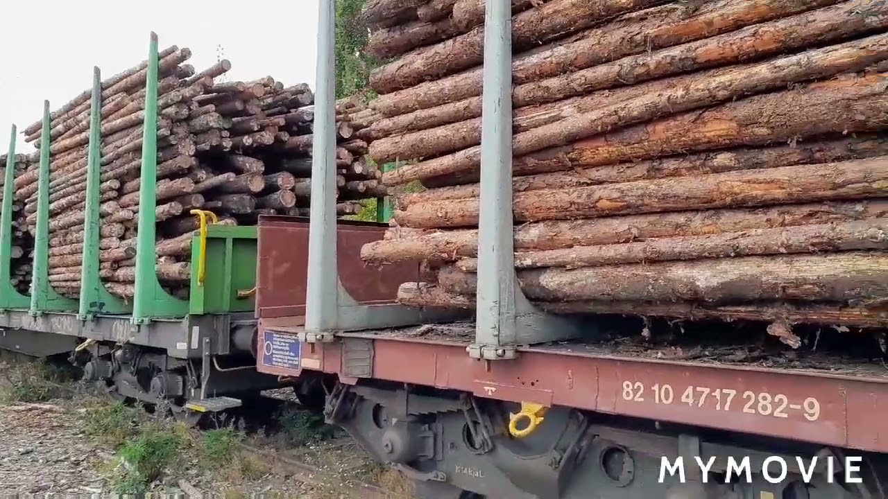 päiväni Pieksämäellä