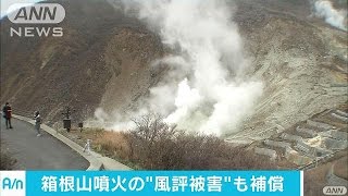 箱根山噴火→風評被害も補償　東京海上日動が新商品(16/12/02)