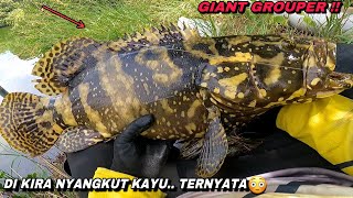 Benar dugaaanku..! Di balik tumbuhan bakau jadi sarang ikan besar | mancing kakap putih