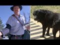 This Mailman Saw How His Favourite Dog Was Changing Then He Noticed What The Owners Were Doing