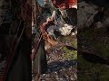 So groß ist The Witcher 4 inzwischen geworden