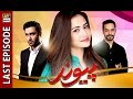 Paiwand Last Episode - ARY Digital Drama