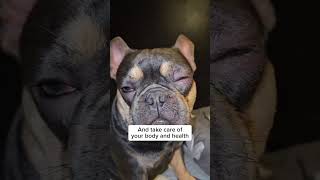 When Vision Changes, Confidence Drops — Support Your Dog Naturally