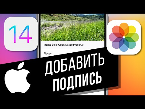 Как добавить подпись к фото и видео на iPhone в iOS 14 | Поиск файлов по описанию