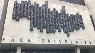 Celebrity 2017 Pace University Beta Alpha Psi - Iota Lambda Chapter Gold Challenge Net Worth