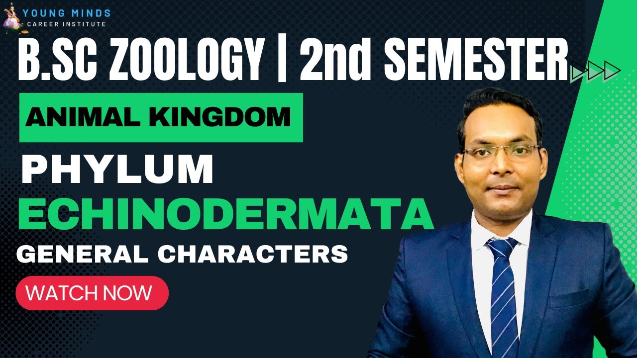 B.Sc Zoology | Phylum Echinodermata | General Characters