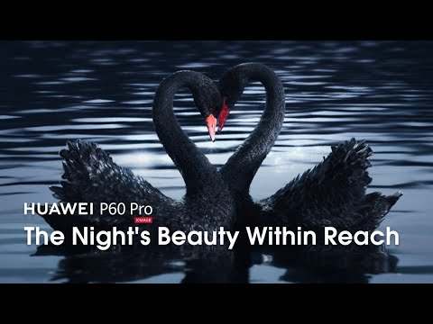 HUAWEI P60 Pro - The Night's Beauty Within Reach