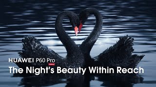 HUAWEI P60 Pro - The Night's Beauty Within Reach Resimi