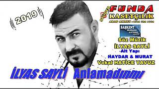 Anlamadınmı