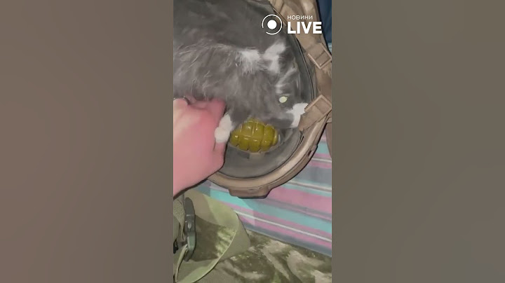 🐈🐈🐈Украл гранату