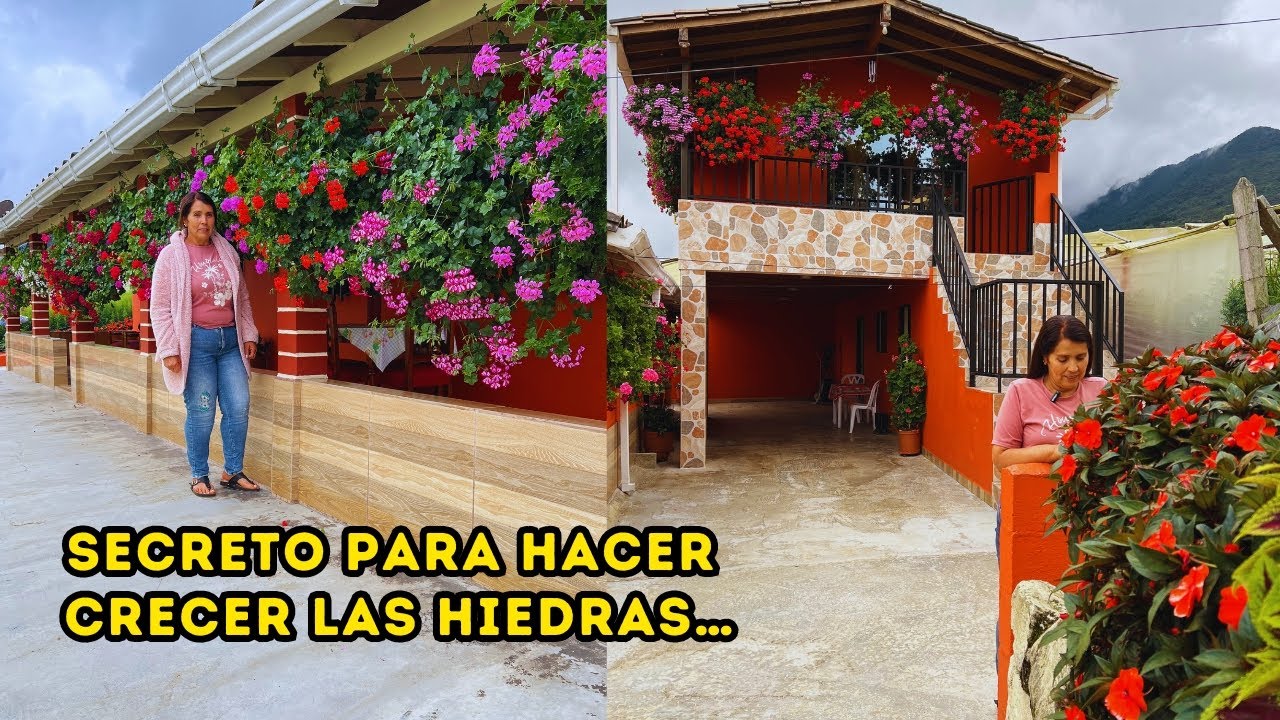 Esta es la CLAVE para los GERANIOS, este JARDÍN es un palacio de FLORES, las PLANTAS de Albita |AP