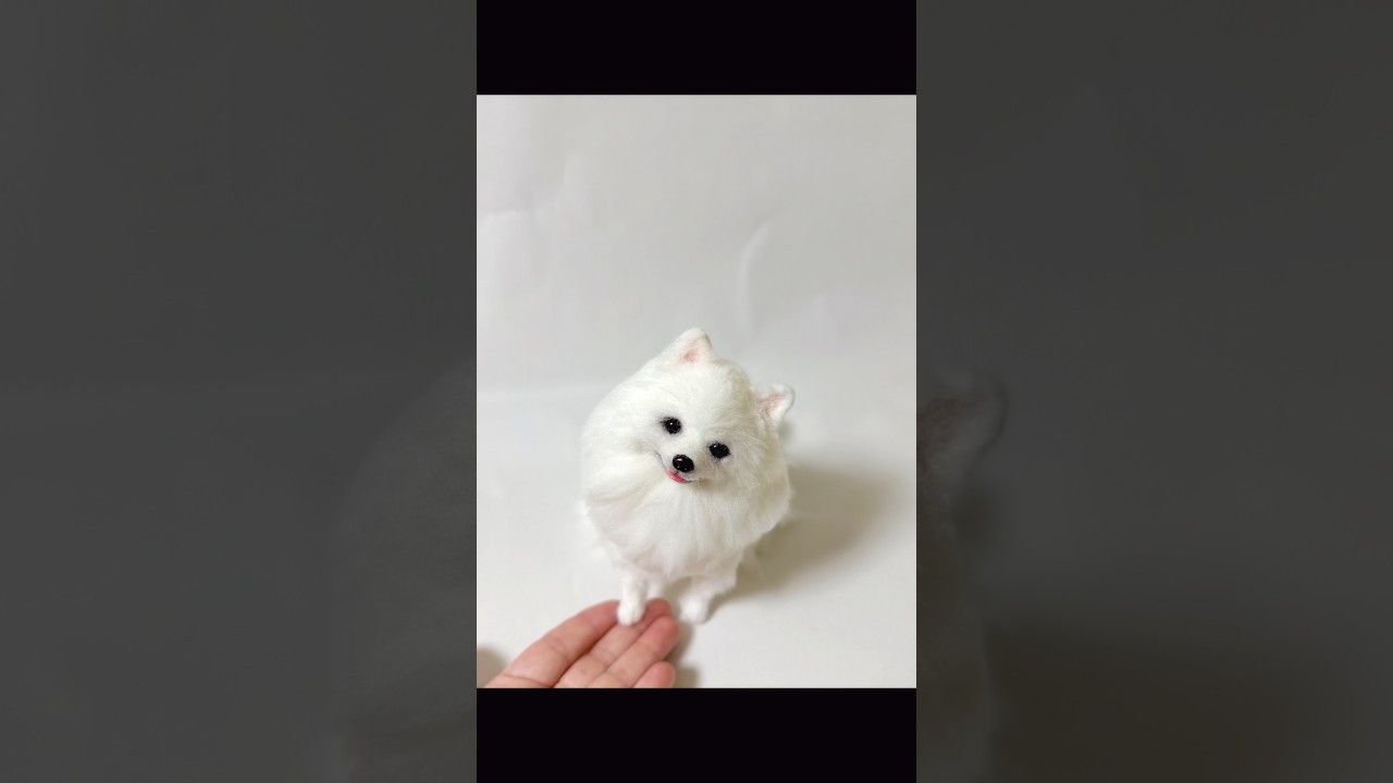 出品中】ポメラニアン ホワイト #needlefelting #羊毛フェルト #白ポメ
