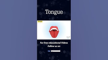 Tongue | Human Tongue | Science
