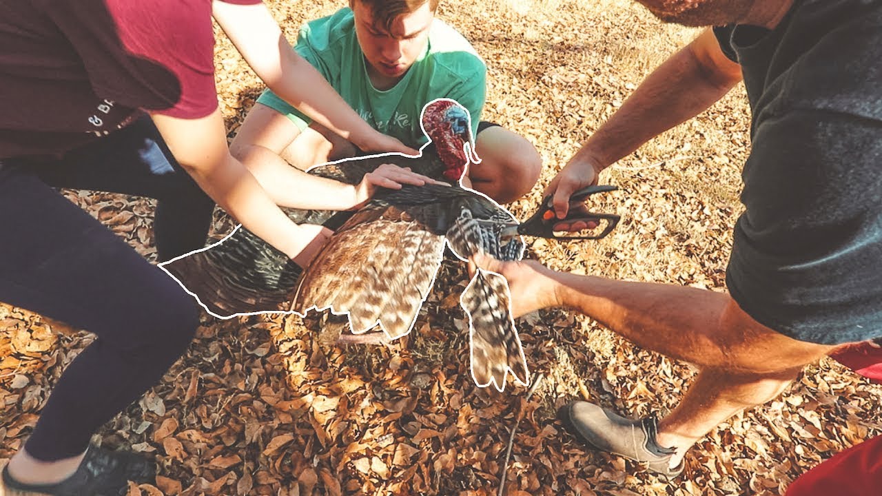 This will STOP him from hurting our goats. YouTube