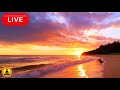 🔴 Relaxing Music 24/7, Sleep Music, Stress Relief Music, Spa, Meditation, Zen, Ocean Wave Sounds