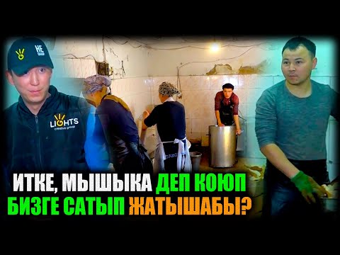 Video: Эмне үчүн мышык мышыктарга тамак бергиси келбейт