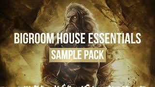 BIGROOM ESSENTIALS V3 - SAMPLES, LOOPS & VOCALS