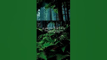 #قرآن سورة لقمان #ياسر_الدوسري🇸🇦#اللهم_صل_وسلم_على_نبينا_محمد #راحة_نفسية 🌹