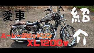 愛車ハーレーダビッドソン XL1200v・セブンティーツー 紹介 - YouTube