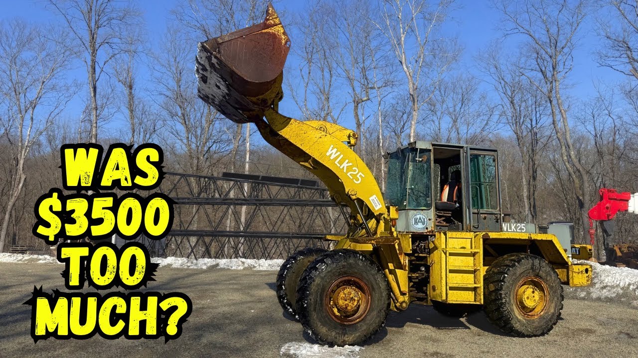 ITS DONE! (Mostly) Auction Loader, was it REALLY worth fixing??