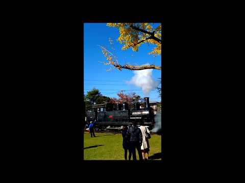 みやしろ（宮代）だより　日本工業大学SL運転２０１８（H.30)１１．３