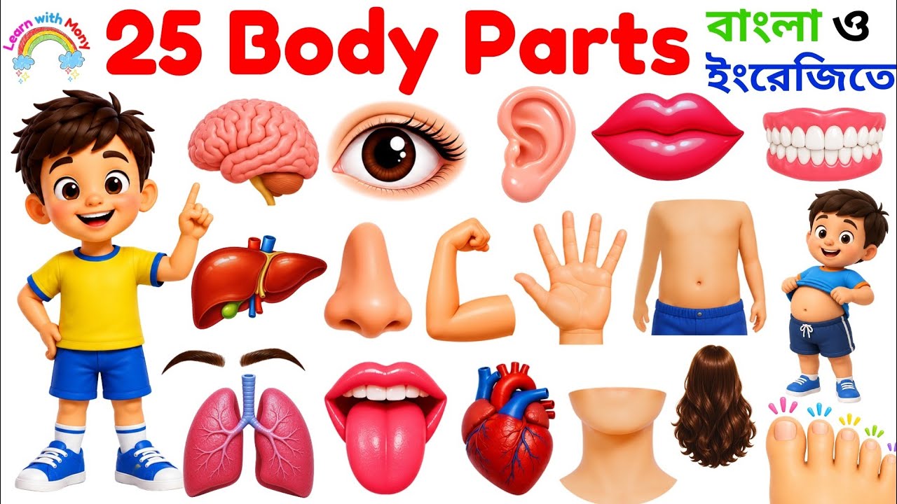 Body Parts Names in English | 25 Human Body Parts with Pictures | Learn Body Parts for Kids