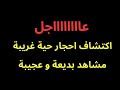 عاجل اكتشاف احجار حية للمرة الأولى ومشاهد بديعة عاجل اكتشاف احجار حية للمرة الأولى ومشاهد بديعة