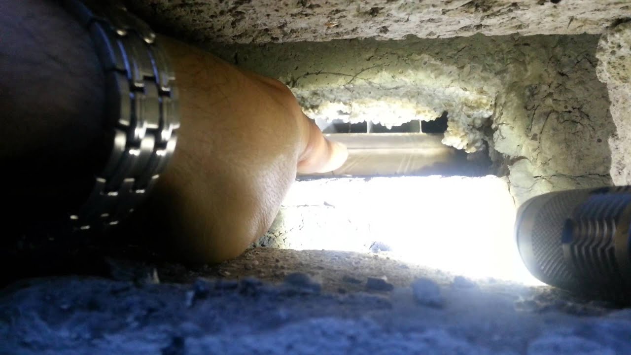 How Mice &amp; Rats Access Apartment Ceilings? YouTube