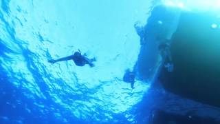Подводная съёмка в красном море.