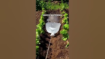 Hose-free watering system: A clever solution! 💦#shorts #gardening #hacks