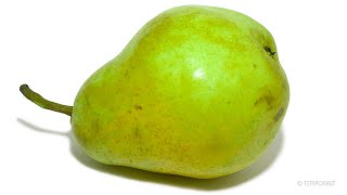 Rotting Pear