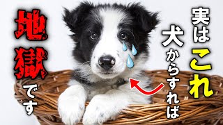 犬が泣くほど辛いされたら嫌なこと20選