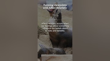 The Affect Heuristic: How Emotions Shape Decisions