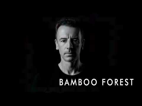 Bamboo Forest - Harmonica (2016)