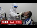 Ўзбекистон: Тест топшириш имконсиз, лекин тестлар захираси етарлими? - BBC News O'zbek