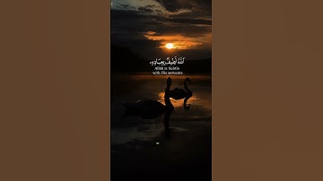 سورة الشوری..قارئ.محمد ربیع #اكسبلور #لايك #راحة_نفسية